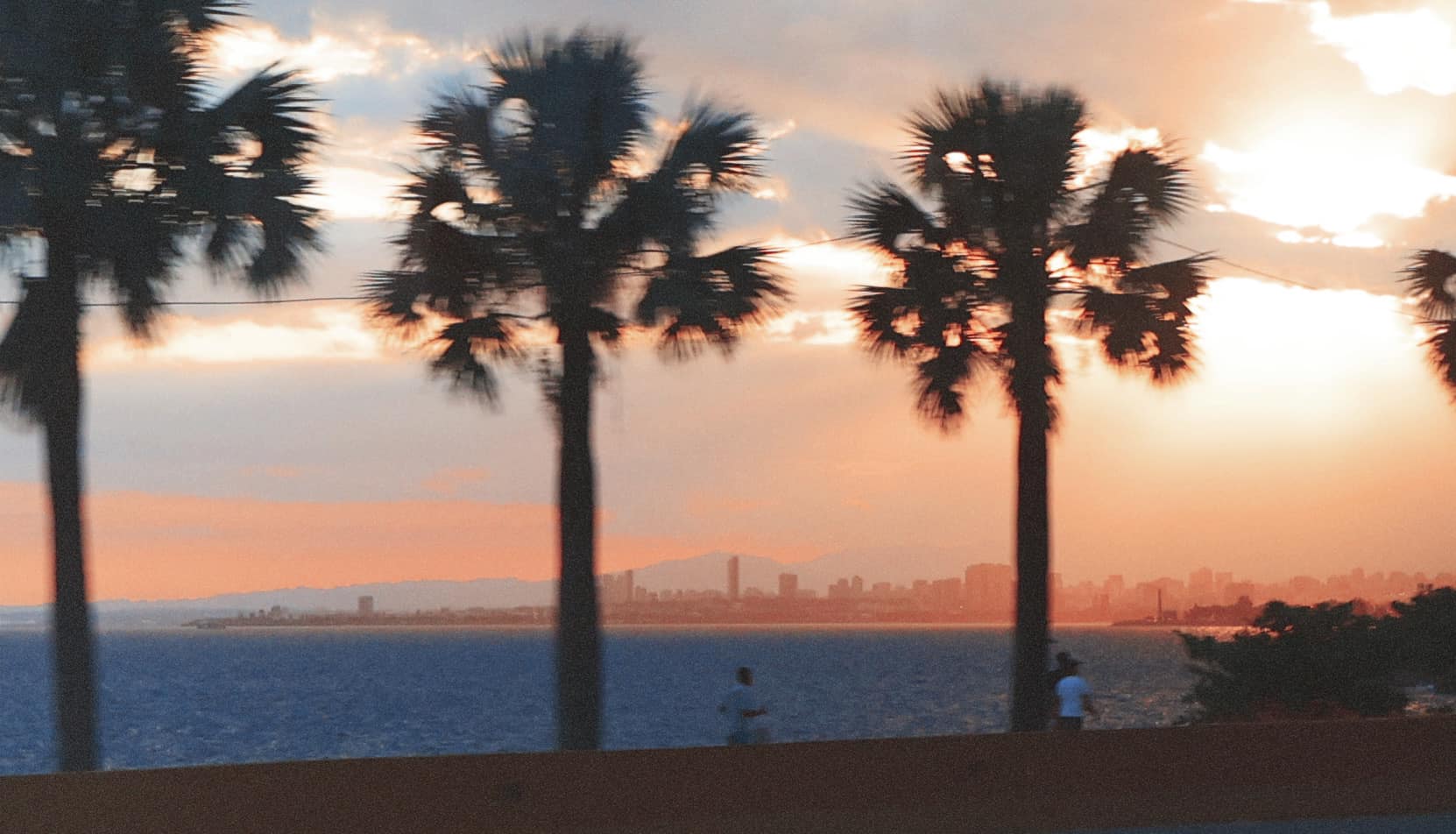 Sunset view of Santo Domingo skyline with palm trees silhouetted
