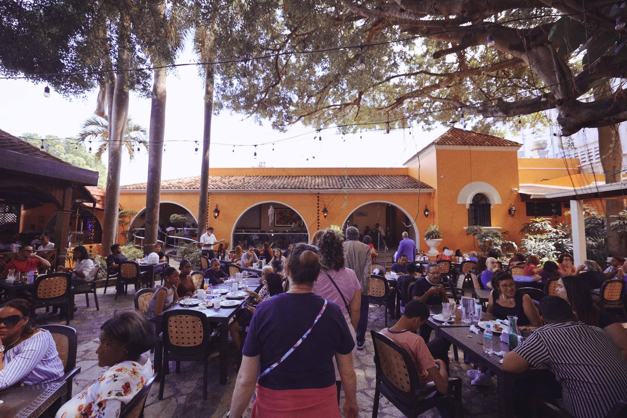 View of interior courtyard of the garden cafe